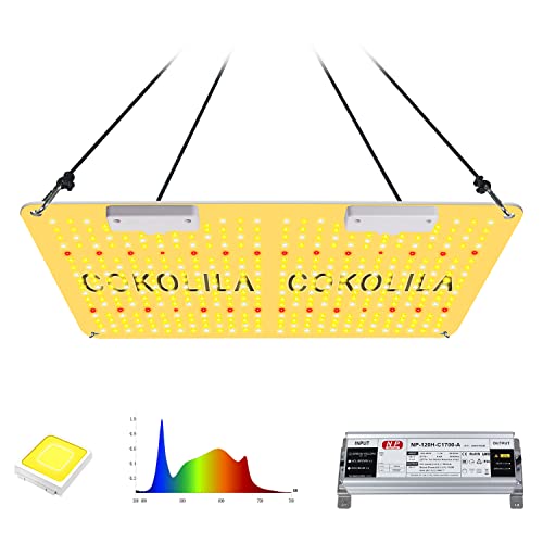 Lâmpada Led Grow Light COKOLILA com Luz de Cultiva Regulável COKOLILA - Iluminação - led, cultura, regulável, temperatura