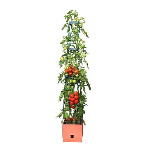 Torre de Cultivo BIO GREEN Maxitom (Castanho - 50x50x100cm) Bio Green - Gaiolas e suportes para plantas - rega automática, 16 litros, trepadoras, 1 metro