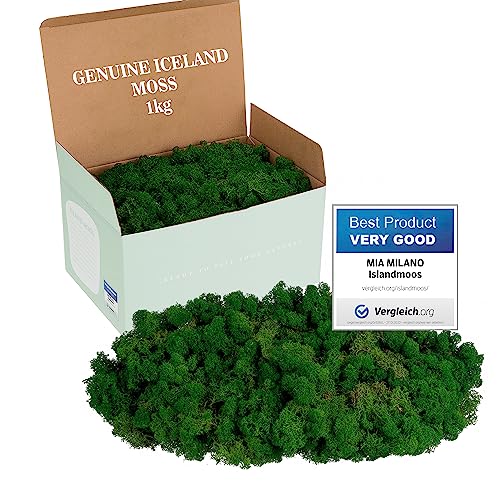 Mia Milano Preserved Moss Verde Escuro 1Kg Mia Milano - Flores artificiais - verde escuro, 1 kg