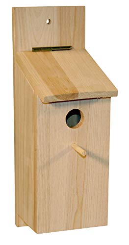 Casa para Pássaros KERBL 1 Peça (Madeira) KERBL - Casas para pássaros - madeira, tampa amovível, percha, 3 cm
