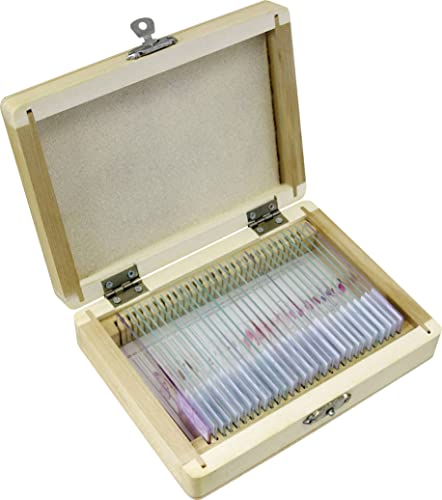 Conjunto de Microscópio BRESSER 5986000 (30 peças) Bresser - Lâminas de microscópio - microscópio, conjunto, 30 peças