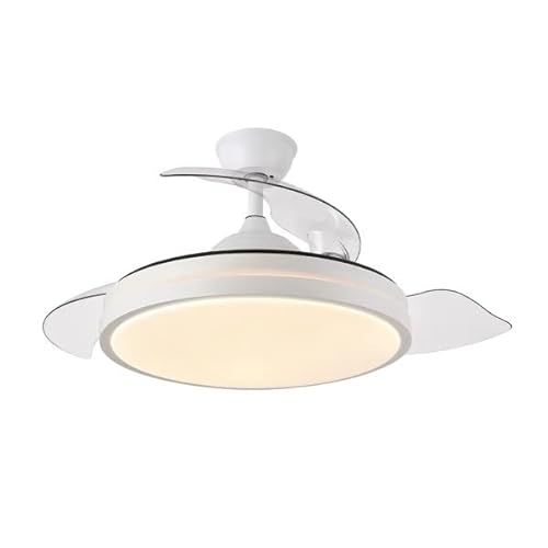 Ventoinha de Chão CECOTEC Escorpião DC (3 velocidades - 60 W) FABRILAMP  - Ventiladores de teto - 3 velocidades, 60 W