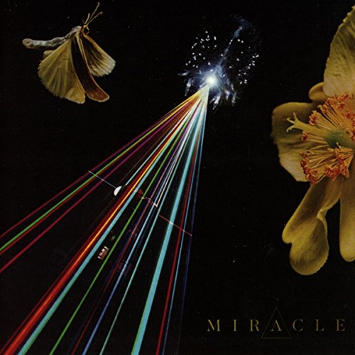 DVD Miracle - The Strife Of Love In A Dream (Edição em Espanhol) RELAPSE RECORDS - Música e gravações de som - dvd, miracle, espanhol