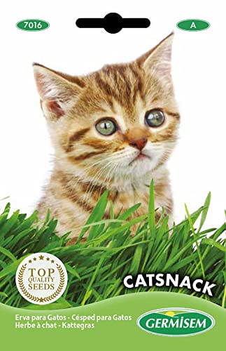 Comida para Gatos GERMSIEM (10g - Seca - Adulto) GERMISEM - Sementes - 10g, seca, adulto, alta qualidade