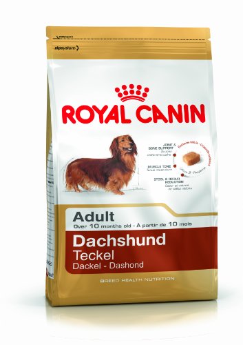 Ração para Cães ROYAL CANIN Dachshund (7.5 Kg) ROYAL CANIN - Ração para cães - dachshund, 7.5 kg, royal canin