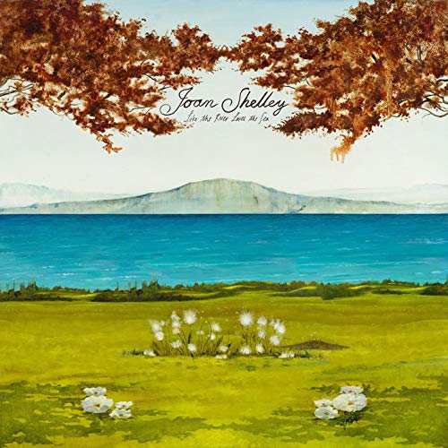Joan Shelley - Like The River Loves The Sea (CD) NO QUARTER - Cds de música - joan shelley, like the river loves the sea, cd