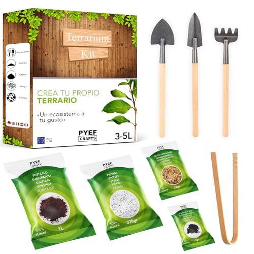 Kit de terrário Pyef Crafts 4 plantas com água PYEF Crafts - Kits de cultivo de plantas e ervas - terrário, 4 plantas, água