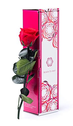 Rosa Eterna RÖS+TE-AMO 1 Unidade (Cinzento - 8.5x6.5x13cm) Rosen-Te-Amo - Flores artificiais - rosa eterna, rosamamo, cinzento, 8.5x6.5x13cm