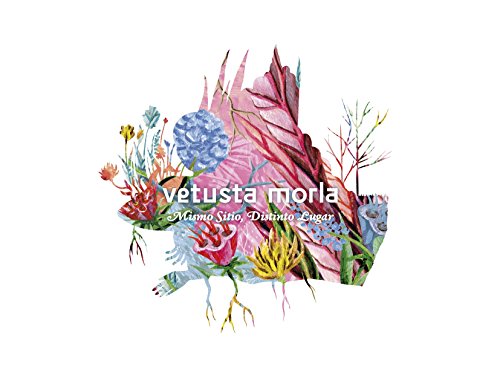 Muito Pequeno Salto Mortal O mesmo lugar, um diferente lugar (Edição em Espanhol) PEQUEÑO SALTO MORTAL - Música e gravações de som - rock alternativo, Hansa Studios, Dave Fridmann, Tarbox Road Studios