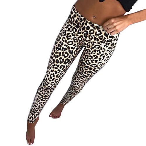 Calções para Mulher VPASS MAYAS Multicor para Fitness (L) VPASS Mujer Pantalones - Roupa - fitness, multicor, mulher
