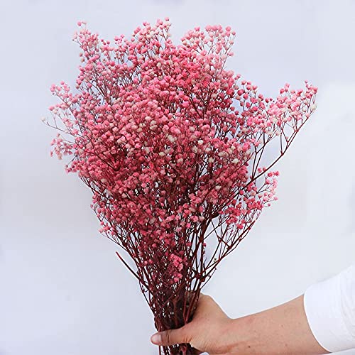 Ramos Decorativos YIWOYI Gypsophila Natural Rosa YIWOYI - Flores artificiais - decorativo, gypsophila, natural, rosa
