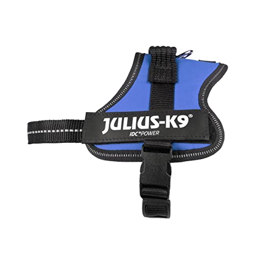 Coleira para Cães JULIUS (Azul - 50 g - Até: 53 cm) JULIUS K9 - Coleiras e arnês para animais de estimação - azul, 50 g, até 53 cm
