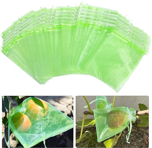 Sacos de Proteção para Uva (100 Un) - 20X15Cm GIONAR - Gaiolas e suportes para plantas - 20x15cm, 100 un, insetos afastados, suave