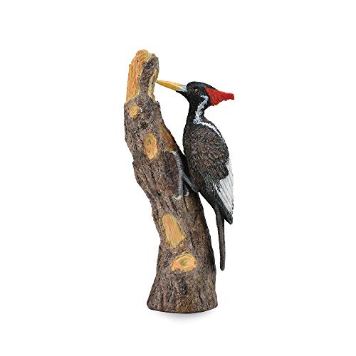 Figura de Brincar JBM Uccello Falenage (Idade Mínima Recomendada: 3 anos) Collecta - Bonecos de ação e brinquedo - animais, pvc, colorido, realista