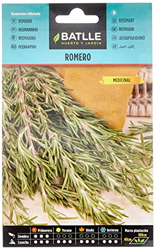Sementes BATLLE ROMERO Rosmarinus Officinalis (100 g) BATLLE - Sementes - rosmaninho, perene, verão, 100 g