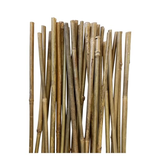 Tutor de bambu para agricultura e jardim Acomoda Textil - Móveis de exterior - bambo, agricultura, jardim, 30 unidades