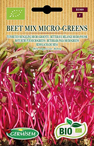 Sementes de Mostardeira GERMISEM (Vermelho) GERMISEM - Sementes - mostardeira, vermelha, microverduras