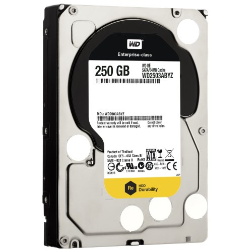 Disco HDD Interno WESTERN DIGITAL WD RE (250 GB - SATA) Western Digital - Discos rígidos - 250 GB, sata