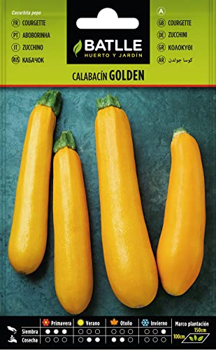 Sementes para Plantar BATLLE Calabacín Golden 1 Kg Semillas Batlle - Lâmpadas de plantas e flores - calabacín, Golden, 1 kg