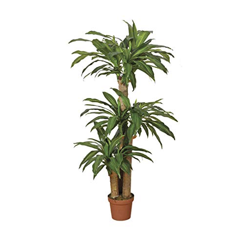 Planta Artificial Rizofera Verde (23 x 20 x 160 cm) CATRAL - Flores artificiais - verde, pvc, 23x20x160 cm