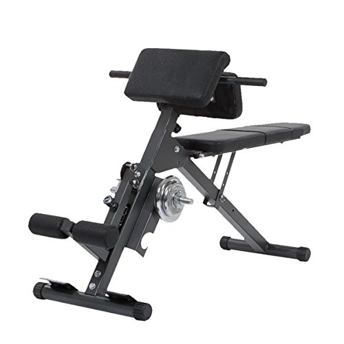 Aparato de Fitness FINNLO Ab & Back 1-4 Series Finnlo - Bancos de exercício - abdominais, preto, plástico
