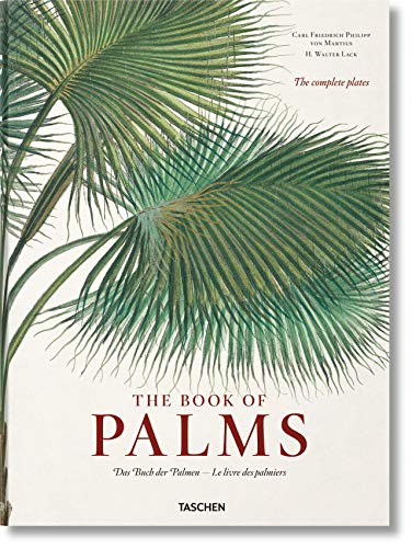 Livro El Libro De Las Palmeras de Von Martius (Espanhol) Taschen - Livros - livro, palmeras, martius, espanhol