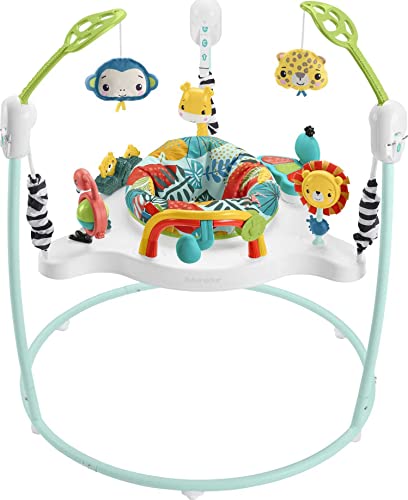 Jogo Didático FISHER-PRICE (0.5 anos) Fisher-Price - Brinquedos - 0.5 anos, alavanca, balanço, sons divertidos