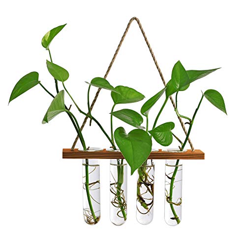 Suporte para Plantas WERTS WF (Branco - Madeira) WERTSWF - Móveis de exterior - branco, madeira