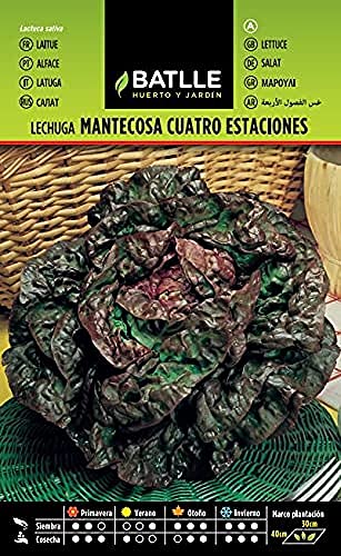 Sementes de Batlle Letúcia Marvada (Recondicionado Como Novo) BATLLE - Sementes - sementes, battelle, letuca, maravada