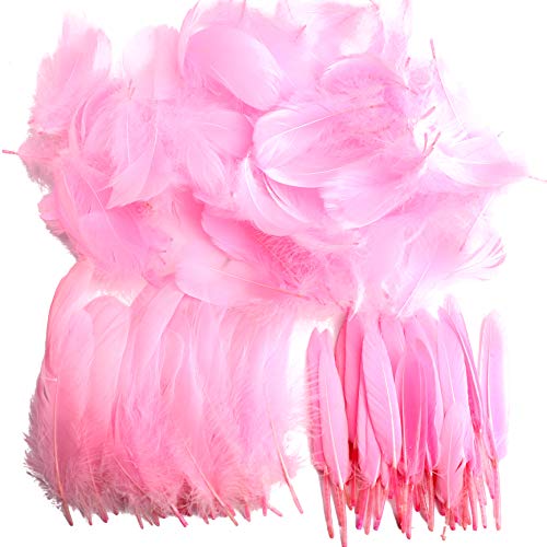 Conjunto de 250 Plumas Coloridas para Manualidades e Atrapa-Sonhos Pveath - Enfeites e acabamentos - plumas, coloridas, manualidades, atrapa-sonhos