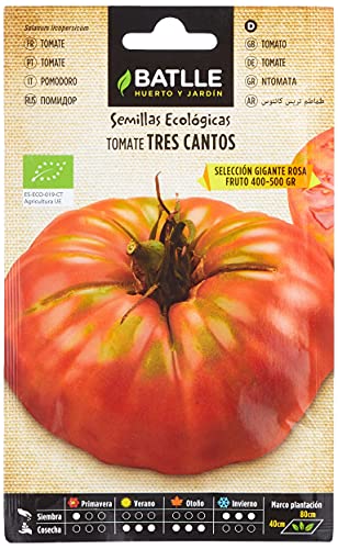 Sementes Organicas De Tomate Tres Cantos Rosa Gigante 5 M BATLLE - Sementes - orgânicas, tomate, rosa gigante