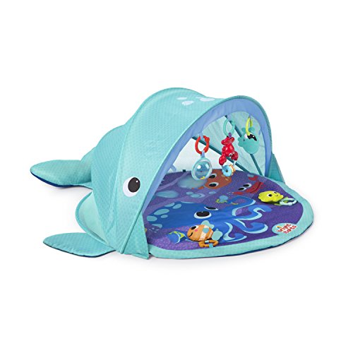 Jogo Didático BRIGHT STARTS Explore & Go Baleia (1 anos) BRIGHT STARTS - Brinquedos - 5 acessórios, proteção UV, resistente à água, 1 ano