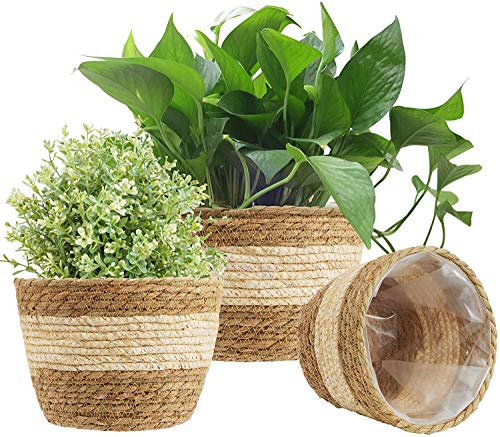 Conjunto de 3 Caixotes de Arrumação KAHEIGN KAHEIGN - Vasos e canteiros - conjunto, 3 caixotes, arrumação