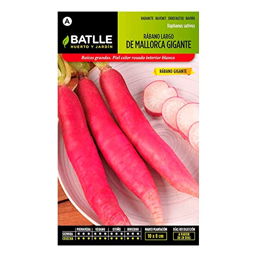 Rábano Gigante de Mallorca - 1 Unidade (Recondicionado Como Novo) BATLLE - Sementes - gigante, mallorca, reconstruído