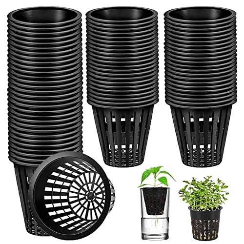 Cesto de Cultura Hidroponia 5,5 Cm Preto 60 Unidades SAIJIAN - Vasos e canteiros - 55 cm, preto, hidroponia, 60 unidades