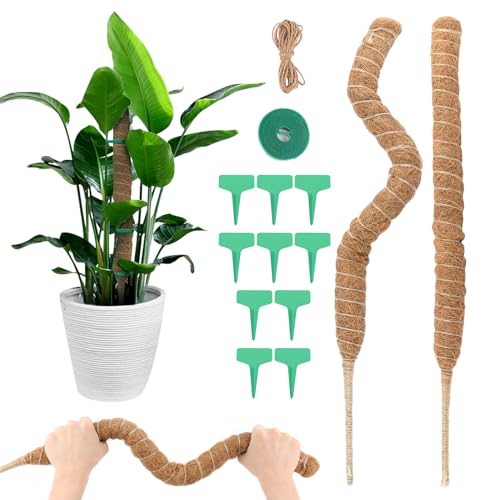 Suporte para Plantas VFANDV 2 Peças (70 cm) VFANDV - Gaiolas e suportes para plantas - suporte, plantas, vfandv, 2 peças