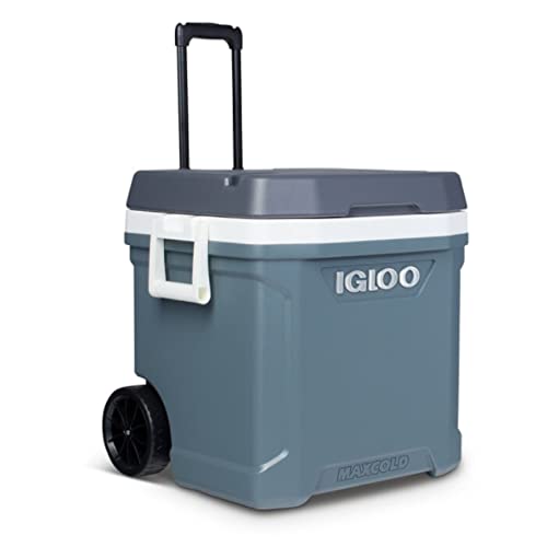 Caixa para Alimentos IGLUO MAXCOLD Latitude Roller (Plástico - Transparente) IGLOO - Porta-alimentos e bebidas - 62 l, transparente, plástico, 98 latas