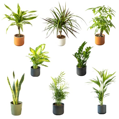 Conjunto de 8 Plantas Artificiais SMOBY (Azul) SMPLY. - Plantas - 8 plantas, plástico, folhas coloridas, realistas