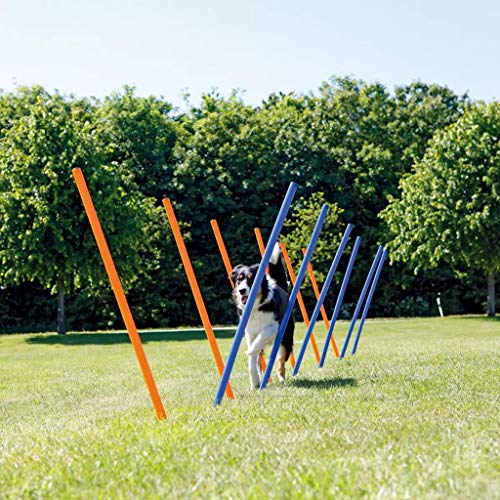 Kit de Acessórios para Cães TRIXIE (Azul - Laranja - 12 Peças) TRIXIE - Equipamento de agilidade para animais de estimação - kit, acessórios, cães, TRIXIE, azul, laranja, 12 peças
