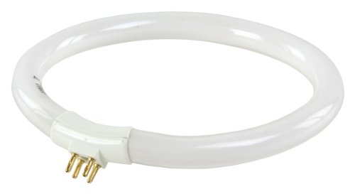 Lâmpada de Filamento Circular G10Q 12W 6400K HQ MAG HQ - Lâmpadas - 12 w, 6400K, filamento circular