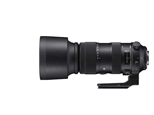 Objetiva SIGMA 60-600mm f/4.5-6.3 DC OS HSM Sigma - Lentes de câmera - objetiva, sigma, 60-600mm, f/4.5-6.3, dc os hsm