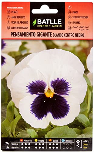 Sementes de Plantas com Flores BATLLE Pensamento Branco/Croto Preto (1 kg) Semillas Batlle - Sementes - sementes, plantas com flores, batlle pensamento branco, croto preto