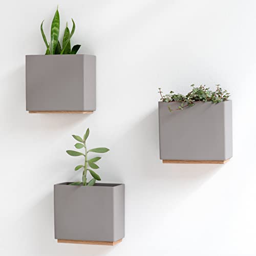 Conjunto de 3 Vasos Suspensos KAZAI Alma Kazai. - Vasos e canteiros - 3 vasos, polipropileno, exterior, decoração