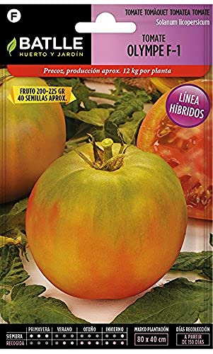 Sementes de Tomates OLIMPE F-1 (3.5 g) - 25 sementes Semillas Batlle - Sementes - tomate, olimpe f-1, 3.5 g, 25 sementes