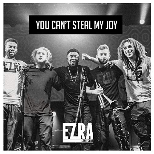 Vinil LP You Can't Steal My Joy - Standard LP (1LP) ENTER THE JUNGLE - Música e gravações de som - vinil, LP, you cant steal my joy