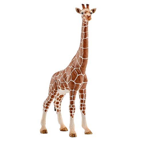 Figuras de Ação SCHLEICH Wild Life (Idade Mínima Recomendada: 3 anos) Schleich - Bonecos de ação e brinquedo - realista, plástico, 3 anos