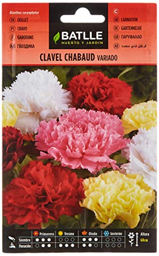 Sementes de Calêndula Dupla 10 M² - Chabaud BATLLE - Sementes - calendula, 10 m2, chabaud