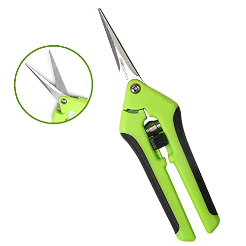 Tesoura para Cortar Plantas EACHBID Verde Eachbid - Tesouras de poda - mango, 16,5 cm, 2cr13