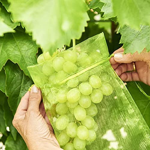 100 BOLSAS PROTECCION PARA UVA 30X20CM VERDE holygloomy - Gaiolas e suportes para plantas - bolsas de proteção, uva, verde