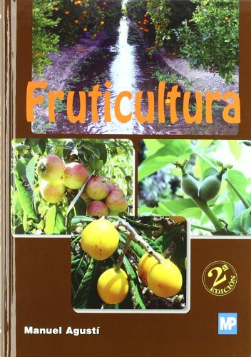 Lote de 2 Recipientes para Plantas FRUTICULTURA (Branco - 8.5x9x6 cm) Ediciones Mundi-Prensa - Livros - 2 recipientes, plástico branco, janelas, 1 litro